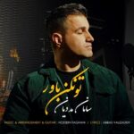 دانلود آهنگ جدید تو نکن باور از سامان مددیان