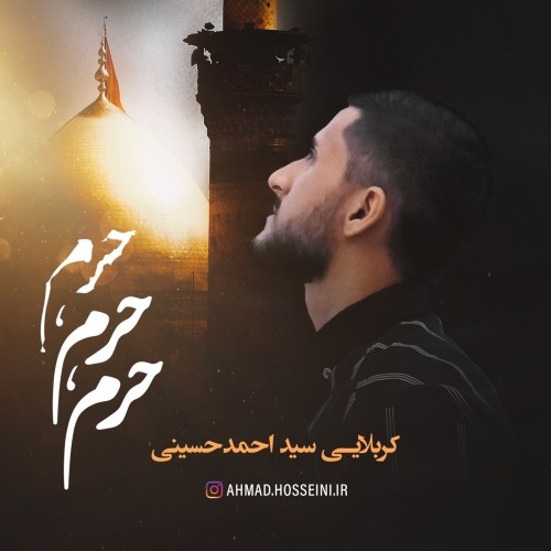 دانلود آهنگ جدید سید احمد حسینی به نام حرم، حرم، حرم