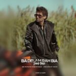 دانلود آهنگ جدید با دلم راه بیا از شهاب حبیبی