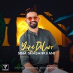 دانلود آهنگ جدید یار دلم از سینا شعبانخانی
