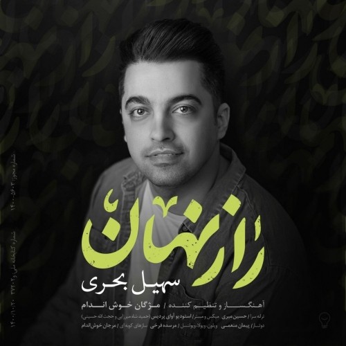 دانلود آهنگ جدید سهیل بحری به نام راز نهان