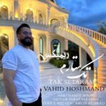 دانلود آهنگ جدید تک ستارم از وحید هوشمند