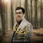 دانلود آهنگ جدید زلف کوتاه از وحید نورایی