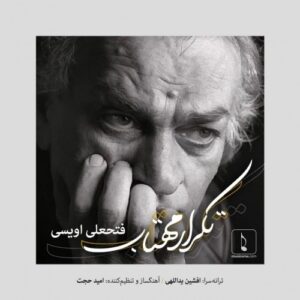 فتحعلی اویسی