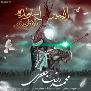 محمدرضا جعفری